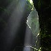 Ray Ferns Photo 11