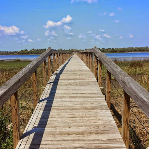 Stefanie Reed Photo 9