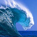 Derek Sharpe Photo 30