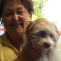 Melissa Delaney Photo 15