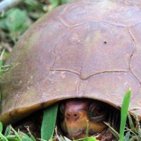 Jackie Stevenson Photo 18