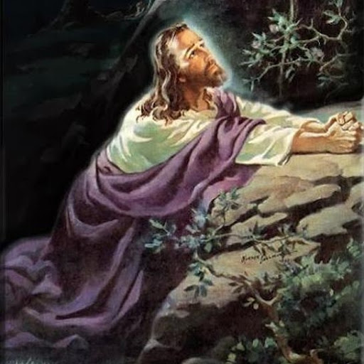 Debbie Holland Photo 48