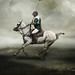 Steve Cavallo Photo 9