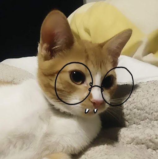 Mateo Torres Photo 2