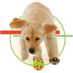 Jessica Dick Photo 19