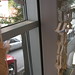 Irene Ortiz Photo 21