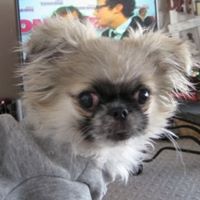 Annette Potts Photo 8