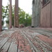 Carol Rust Photo 4