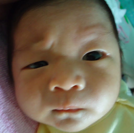 Thai Diep Photo 11