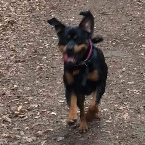 Neil Rogers Photo 25