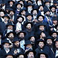 George Levine Photo 24