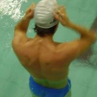 Steven Stein Photo 42