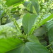 Charles Wilks Photo 15