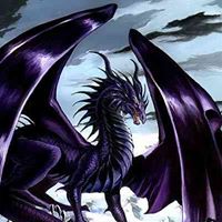 William Couch Photo 7