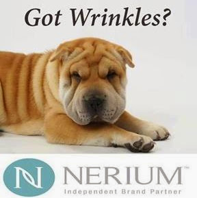 Bridget Jenkins Photo 14