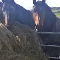 Kate Strong Photo 15