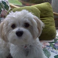 Pamela Edmonds Photo 9