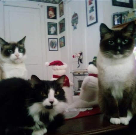 Eric Atkins Photo 34