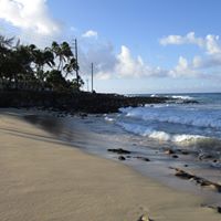 Deborah Sack Photo 4