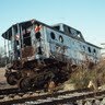 David Matheny Photo 18