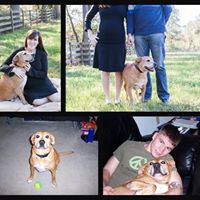 Leah Mcclure Photo 22