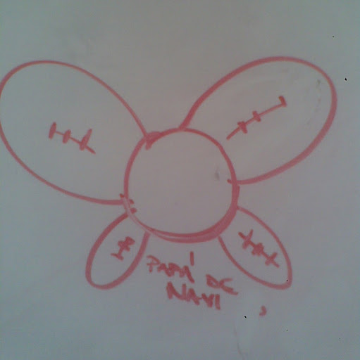 Miguel Pedro Photo 38