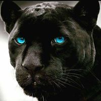 Terri Griffin Photo 18