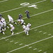 Andrew Walter Photo 48