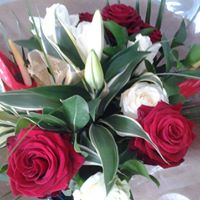 Debra Barton Photo 7