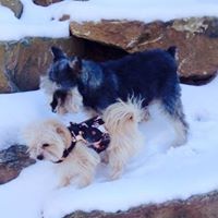 Debra Spaulding Photo 26