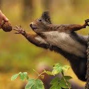 Tracy Schulz Photo 10