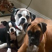 Kimberly Baird Photo 9