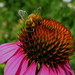Stacy Bloom Photo 31