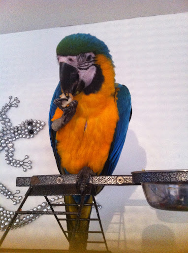 Brendan Duffy Photo 13