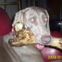 Janet Henson Photo 4