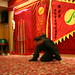 Norman Yee Photo 14