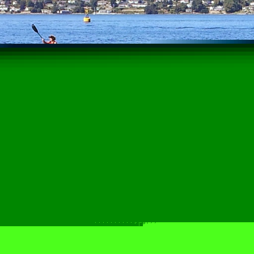 Carolyn Grant Photo 26