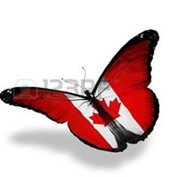 Tracy Upton Photo 11