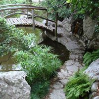 Michele Michaelis Photo 5