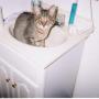 Heather Culbertson Photo 30