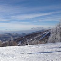 Jacob Epstein Photo 38 Jacob Epstein Photo 38