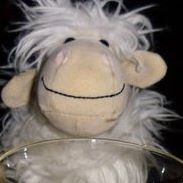 Larry Lamb Photo 18 Larry Lamb Photo 18