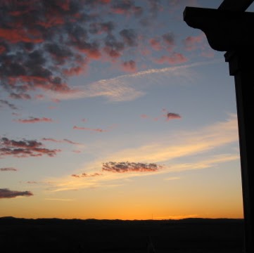 Lynn Metzger Photo 6