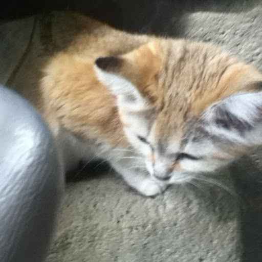 Olivia Fletcher Photo 20