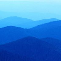 Nadeem Mian Photo 17