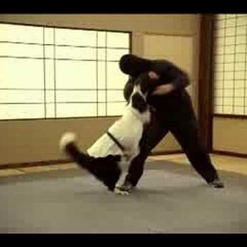 Rafael Quinones Photo 16