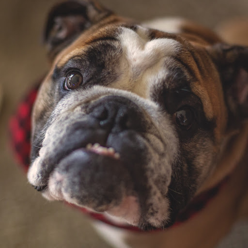 Elizabeth Bergeron Photo 13