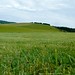 Geraldine Land Photo 12