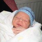 Shelley Hodges Photo 24