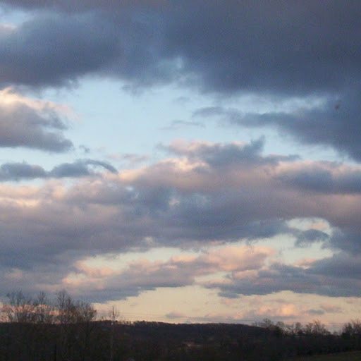 Stephanie Lewis Photo 51 Stephanie Lewis Photo 51